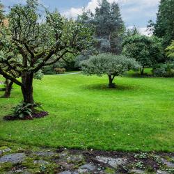 1044651-grounds3