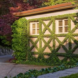 107nwhighlanddr-Web_23