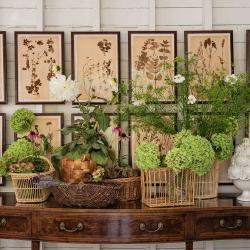 2307McgilvraBlvdE-182-HDR-web